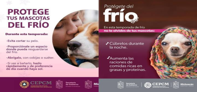 Emite Protección Civil recomendaciones para proteger a mascotas del frío