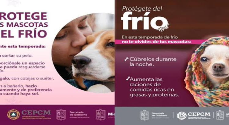 Emite Protección Civil recomendaciones para proteger a mascotas del frío