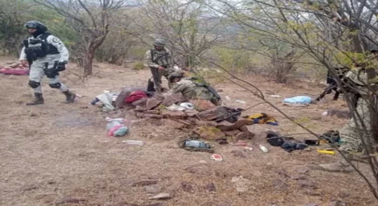 Desmantelan campamento clandestino en La Huacana, Michoacán