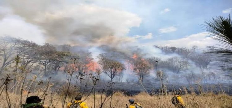 Este año van 20 incendios forestales en Michoacán