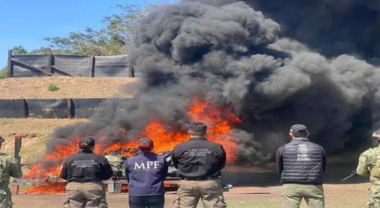 Incineran más de dos toneladas de cocaína en Michoacán