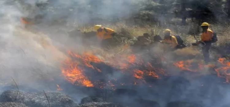 La mayoría de los 251 incendios de Michoacán fueron provocados