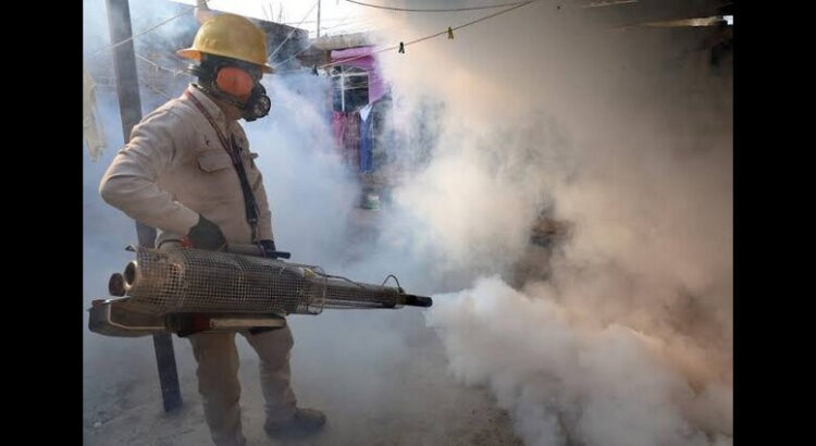 SSM registra 467 casos de dengue en Michoacán