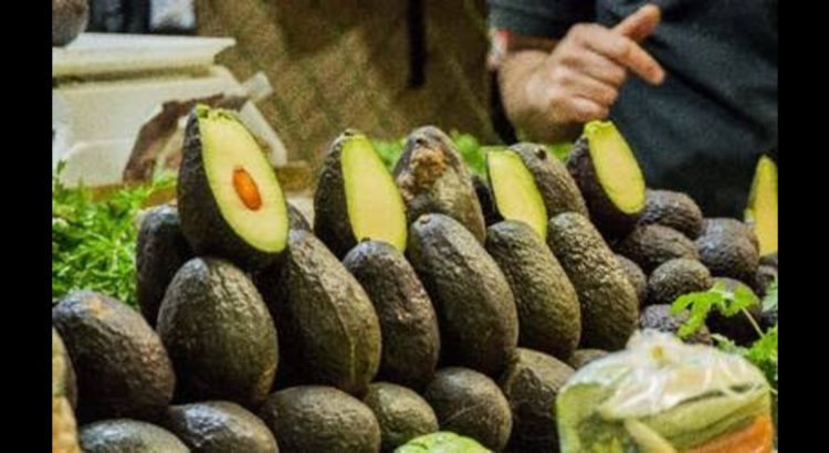 Aguacateros jaliscienses pueden solventar los pedidos vetados a Michoacán