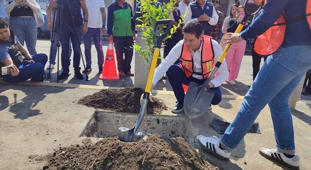 Presenta ayuntamiento moreliano programa “Bienvenido Arbolito”