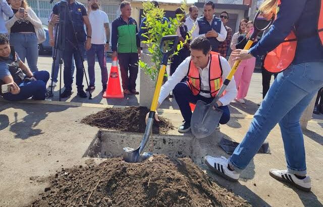 Presenta ayuntamiento moreliano programa “Bienvenido Arbolito”