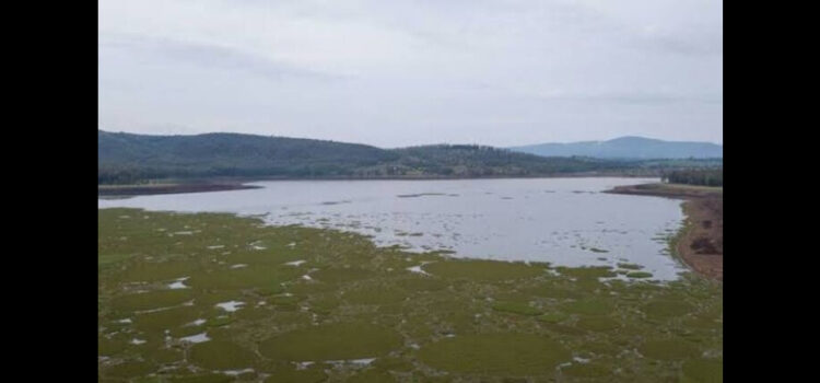 Pese a lluvias, presas de Michoacán aún mantienen niveles bajos