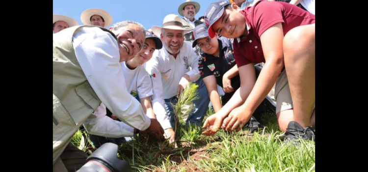 Arranca cruzada forestal en Michoacán; plantarán 10 millones de árboles