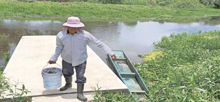 Sin funcionar, plantas tratadoras de agua en Pátzcuaro