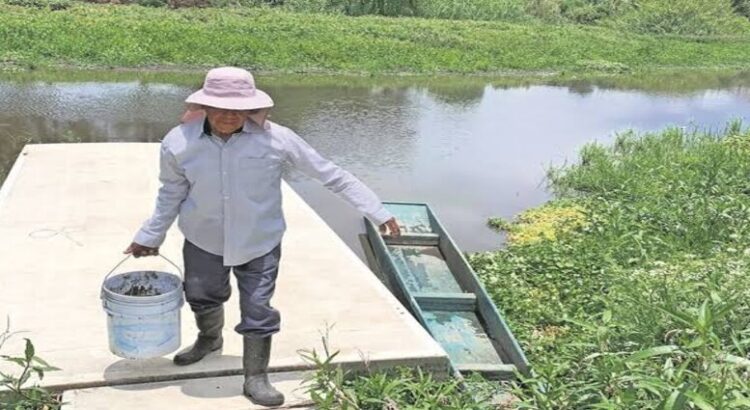 Sin funcionar, plantas tratadoras de agua en Pátzcuaro