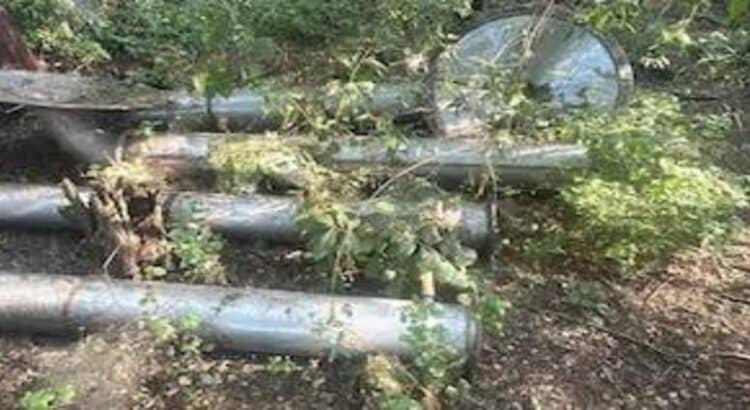 Militares desmantelan narcolaboratorio de drogas sintéticas tras operativo en Buenavista, Michoacán