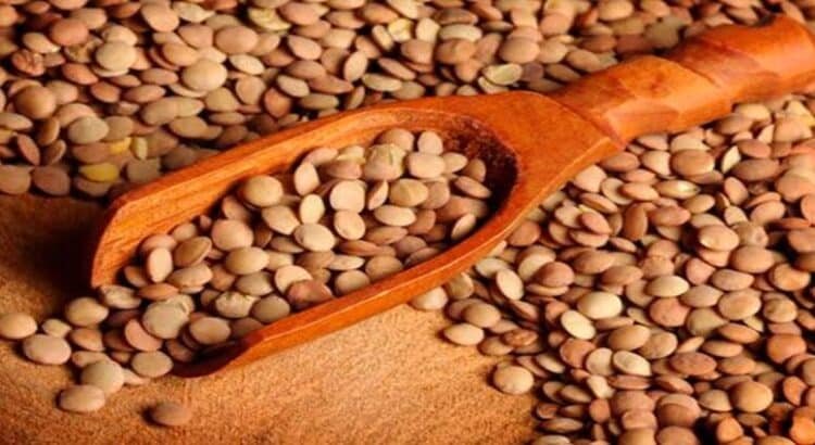 Michoacán, el gran abastecedor de lenteja del país Michoacán, el gran abastecedor de lenteja del país