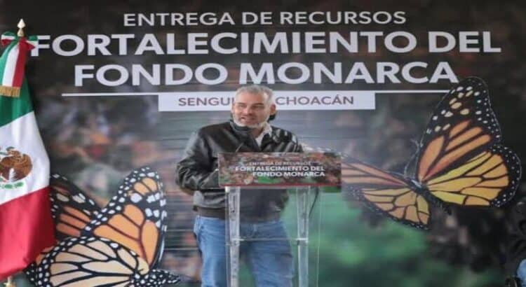 Gobierno de Michoacán celebra que EU asuma responsabilidad del cuidado de la mariposa monarca