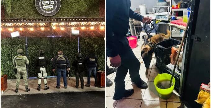 En cateo a bar de Morelia, agentes de la Fiscalía estatal aseguran 250 dosis de narcótico