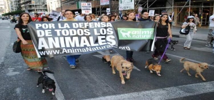 Aumentó 100% crueldad animal cometida por menores de edad, desde el 2018