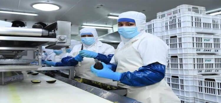 Michoacán, entre los 10 estados con más generación de empleo