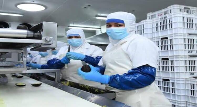 Michoacán, entre los 10 estados con más generación de empleo