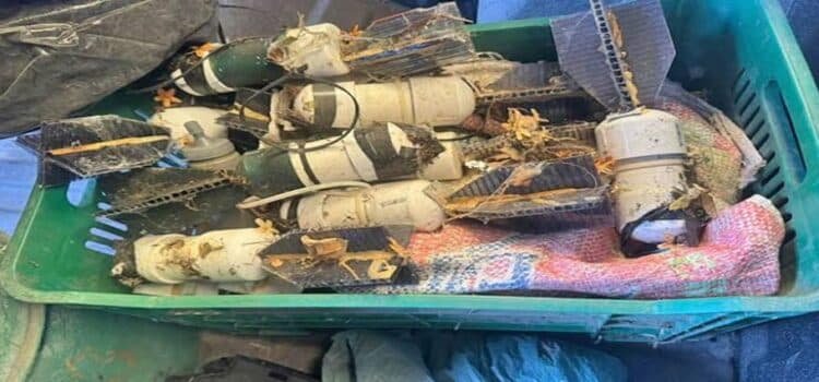 Destruyen 60 explosivos para drones y campamentos ilícitos en Michoacán