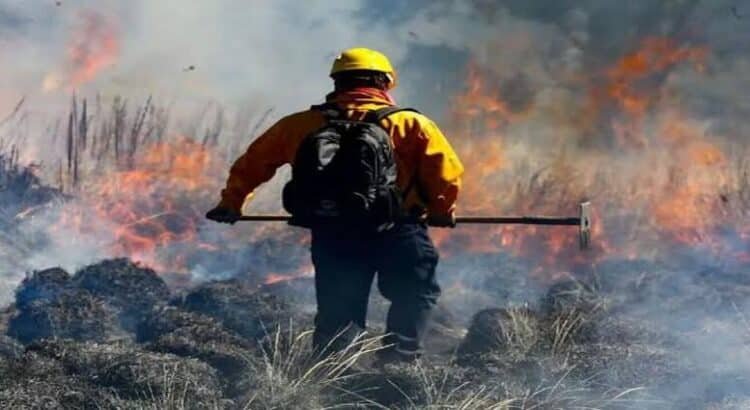 Registró Morelia hasta 6 incendios diarios durante 2024