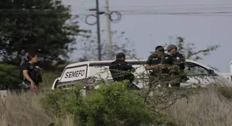 Abandonan 4 cuerpos en diferentes puntos de Cuitzeo, Michoacán