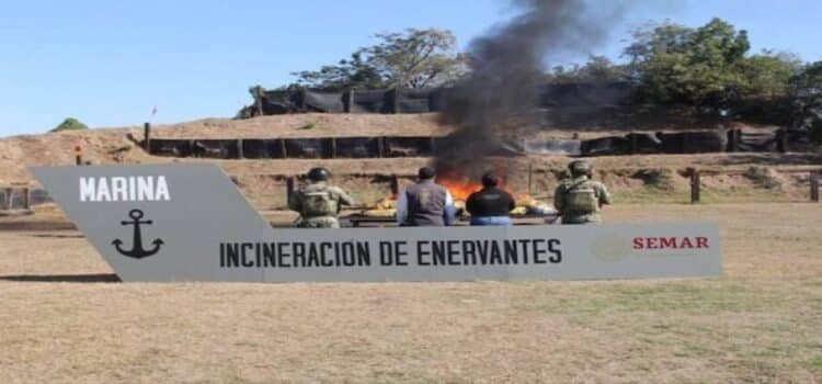 Semar incinera cerca de dos toneladas de droga en Michoacán