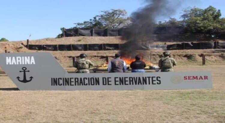 Semar incinera cerca de dos toneladas de droga en Michoacán