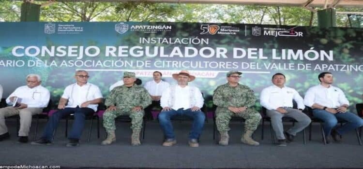 Michoacán llevará limón en polvo a mercados internacionales