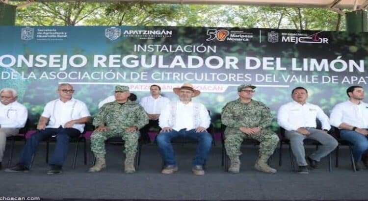 Michoacán llevará limón en polvo a mercados internacionales