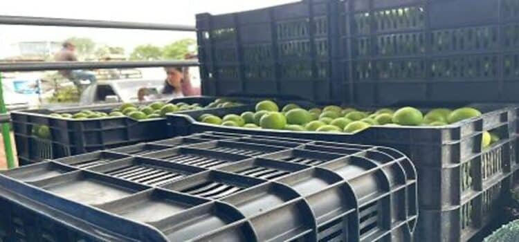 Sin reporte GobMich de cierre de empaques limoneros en Apatzingán