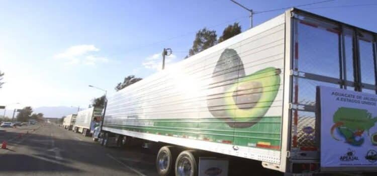 Roban tracto con más de 24 toneladas de aceite de aguacate en Michoacán
