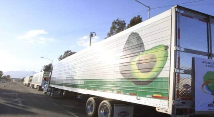 Roban tracto con más de 24 toneladas de aceite de aguacate en Michoacán