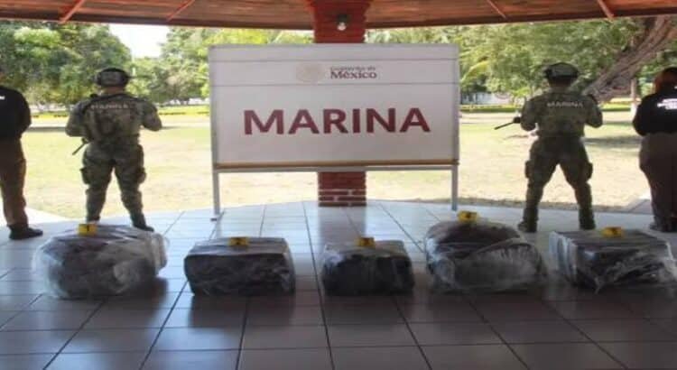 Aseguran 300 kilos de cocaína en el puerto de Lázaro Cárdenas, Michoacán
