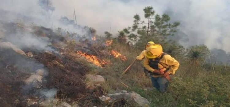 Con 12 siniestros, Michoacán es el segundo estado con más incendios forestales activos