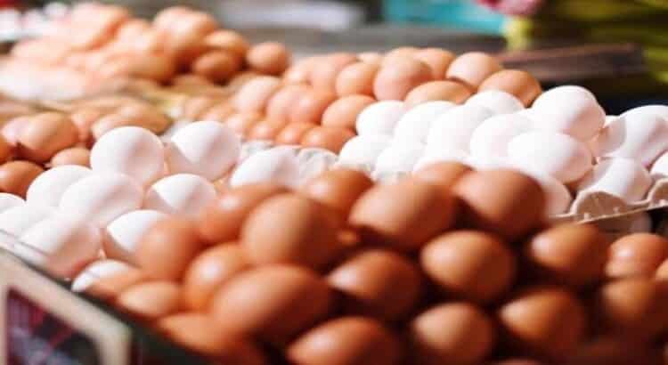Michoacán mantuvo estable el precio del huevo pese a crisis en EU