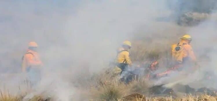 Apagan brigadas 14 incendios forestales en Michoacán