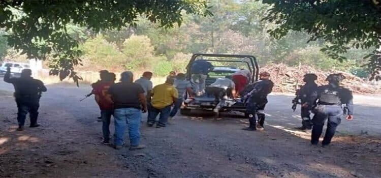 Detienen a 2 bandas de ladrones de aguacate en Michoacán