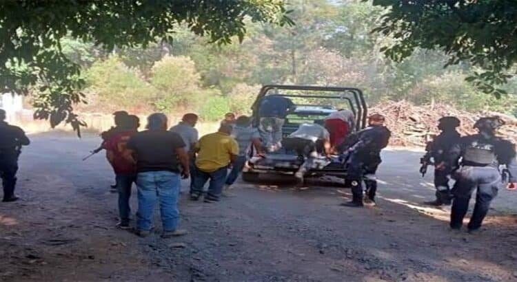 Detienen a 2 bandas de ladrones de aguacate en Michoacán