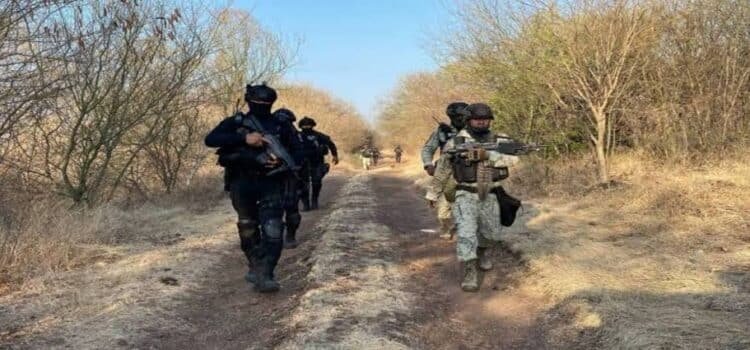Enfrentamientos en BCS y Michoacán deja 6 muertos, un arresto y armas largas decomisadas Enfrentamientos en BCS y Michoacán deja 6 muertos, un arresto y armas largas decomisadas