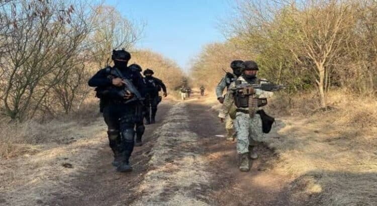Enfrentamientos en BCS y Michoacán deja 6 muertos, un arresto y armas largas decomisadas