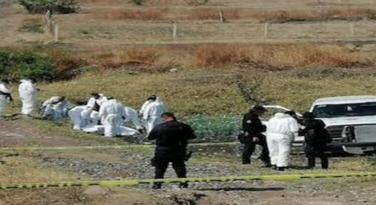 Localizan fosa clandestina con tres osamentas en Aquila, Michoacán