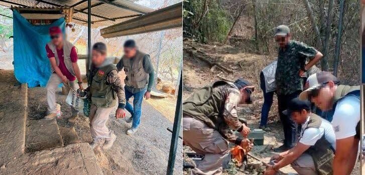 Resguarda Zoo de Morelia venados cola blanca decomisados por Profepa