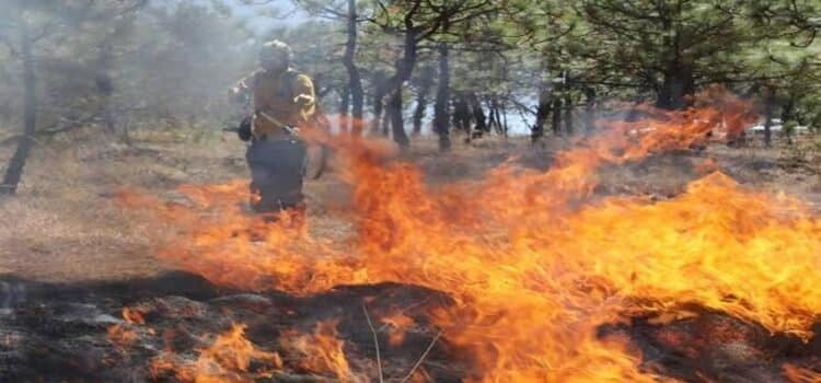 Michoacán, el sexto estado con más superficie afectada por incendios forestales