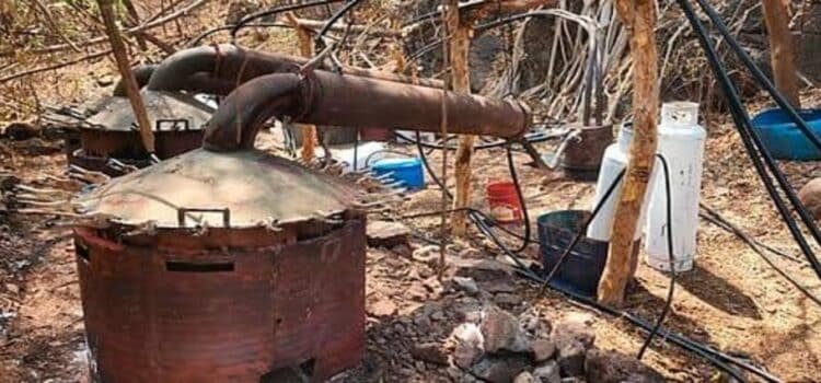 Destruyen otro laboratorio de droga en las últimas 24 horas en Michoacán
