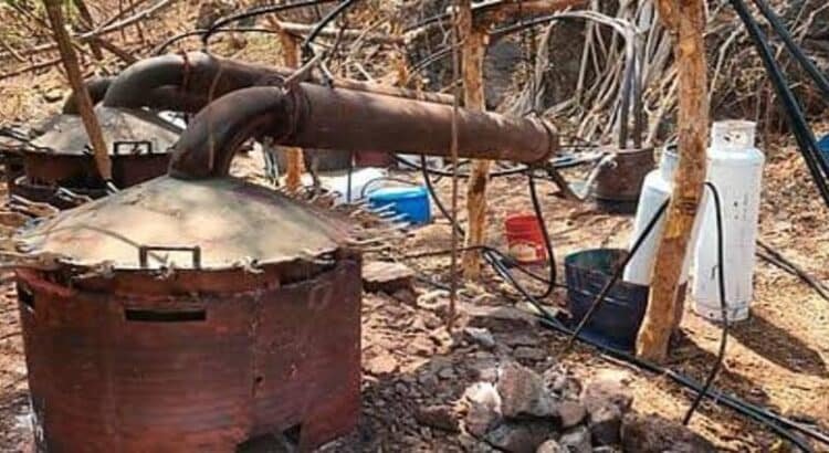 Destruyen otro laboratorio de droga en las últimas 24 horas en Michoacán