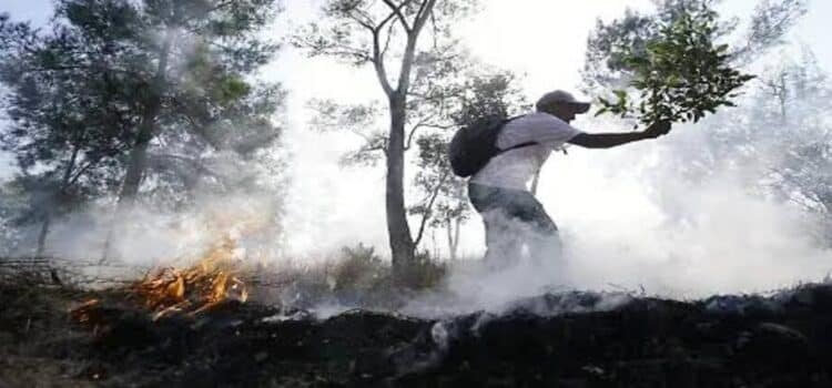 Se coordinan autoridades para prevenir incendios forestales en Michoacán