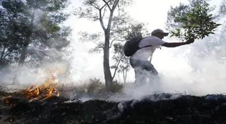 Se coordinan autoridades para prevenir incendios forestales en Michoacán