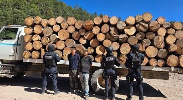 Detiene FGE a dos presuntos responsables de delitos contra el ambiente