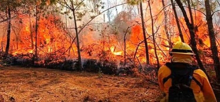 Michoacán supera los 600 incendios forestales acumulados