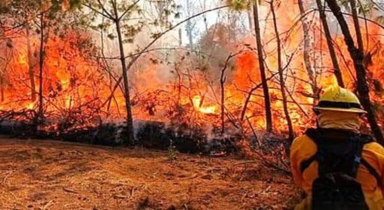 Michoacán supera los 600 incendios forestales acumulados
