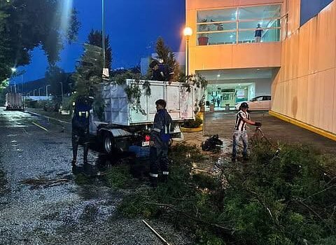 Retira Ayuntamiento de Morelia árboles caídos por lluvias
